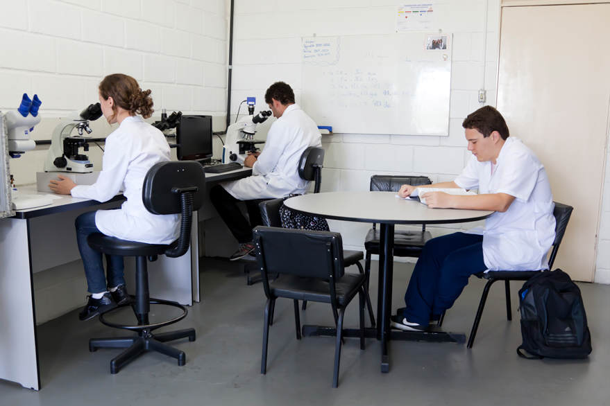Laboratórios de Iniciação Científica