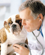 Dia do Médico Veterinário será comemorado com Blitz Educativa