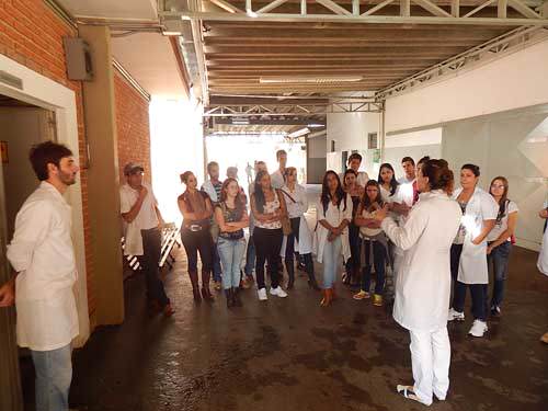 Turmas de Medicina Veterinária participam de visita técnica em Jaboticabal