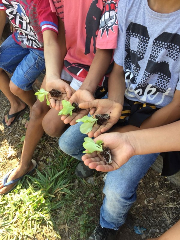 ESTAGIÁRIOS DO CURSO DE ENGENHARIA AGRONÔMICA APRESENTAM PROJETO HORTA URBANA