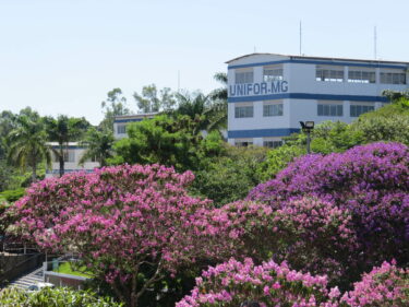 FLORES DO CAMPUS