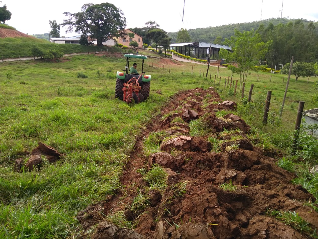 UNIFOR-MG E PATRONATO SÃO LUIZ DESENVOLVEM O PROJETO CULTIVAR