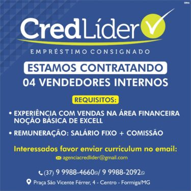 EMPRESA CONTRATA VENDEDORES INTERNOS