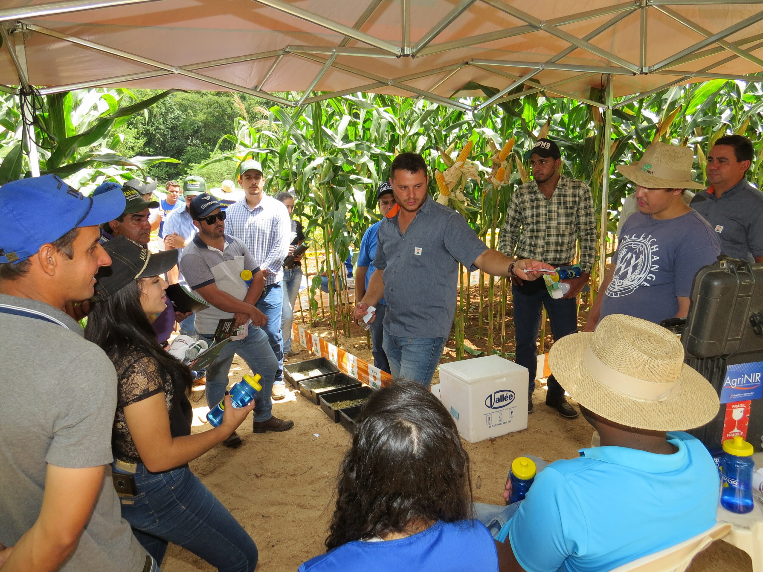 PRODUTORES RURAIS DE QUINZE CIDADES PRESTIGIAM DIA DE CAMPO