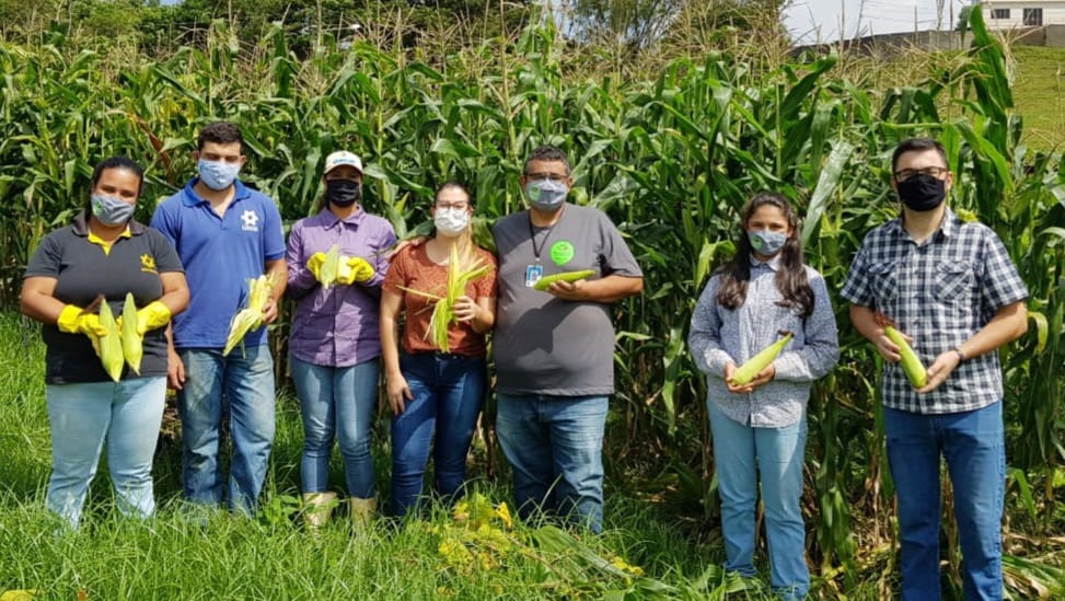 PROJETO CULTIVAR: ALIMENTOS SÃO PRODUZIDOS DE MANEIRA SUSTENTÁVEL