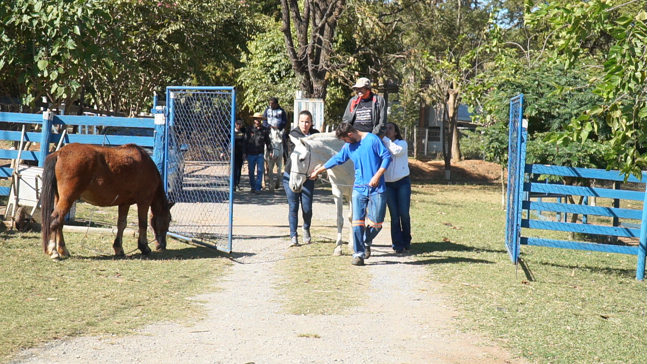 UNIFOR-MG PROMOVE PROJETO “AMIGOS DA EQUOTERAPIA”