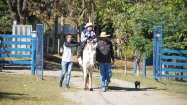 UNIFOR-MG REINICIARÁ ATIVIDADES DO PROJETO “AMIGOS DA EQUOTERAPIA”