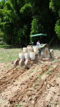 REINICIADOS OS TRABALHOS DO PROJETO HORTA URBANA