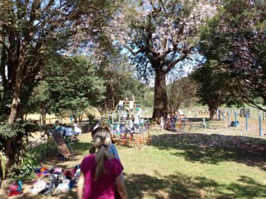 ALUNOS DE ESCOLA INFANTIL VISITAM A FAZENDA DO UNIFOR-MG