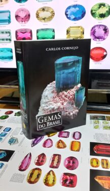 LIVRO REGISTRA MINERAIS E ARTEFATOS PESQUISADOS NO LABORATÓRIO DE MINERALOGIA DO UNIFOR-MG