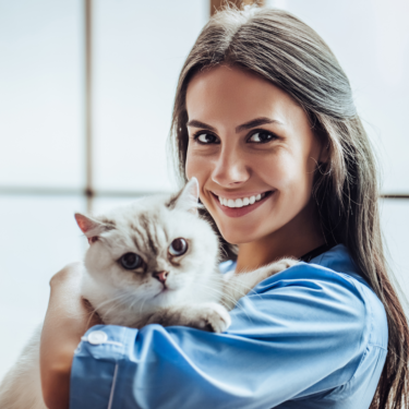 CRESCIMENTO DO SETOR VETERINÁRIO AUMENTA DEMANDA POR ESPECIALISTAS