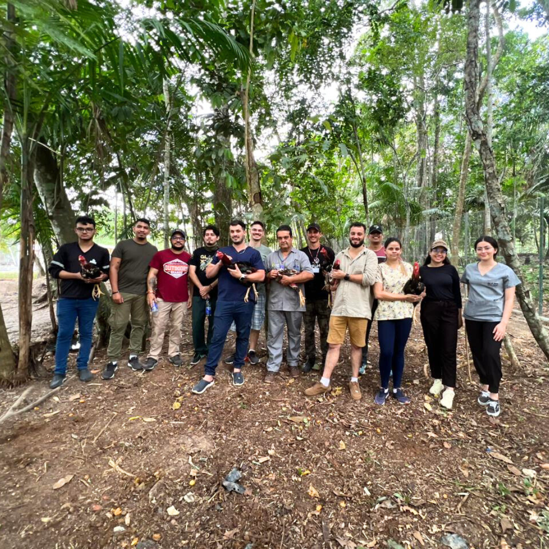 COORDENADOR DA FAZENDA LABORATÓRIO DO UNIFOR-MG MINISTRA CURSO DE CAPACITAÇÃO E TREINAMENTO PRÁTICO DE SOCIALIZAÇÃO DE GALOS EXPLORADOS EM RINHAS NA CIDADE DE MANAUS/AM