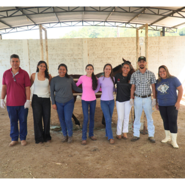 FAZENDA LABORATÓRIO DO UNIFOR-MG REALIZA PROJETO DE ATENDIMENTO A ANIMAIS DE GRANDE PORTE