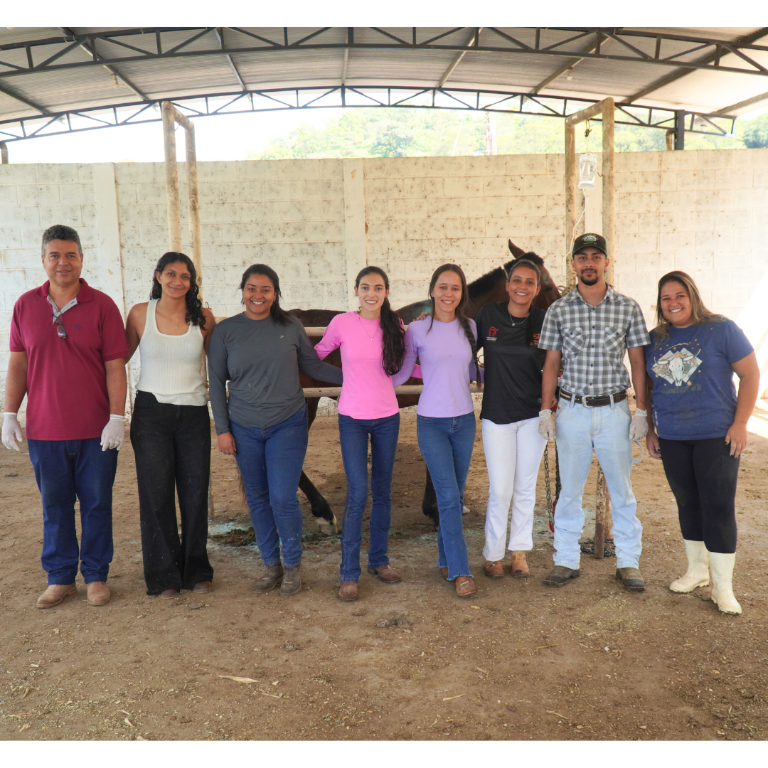 FAZENDA LABORATÓRIO DO UNIFOR-MG REALIZA PROJETO DE ATENDIMENTO A ANIMAIS DE GRANDE PORTE