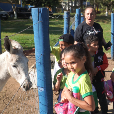 FAZENDA LABORATÓRIO DO UNIFOR-MG RECEBEU A VISITA DA ESCOLA PIO XII
