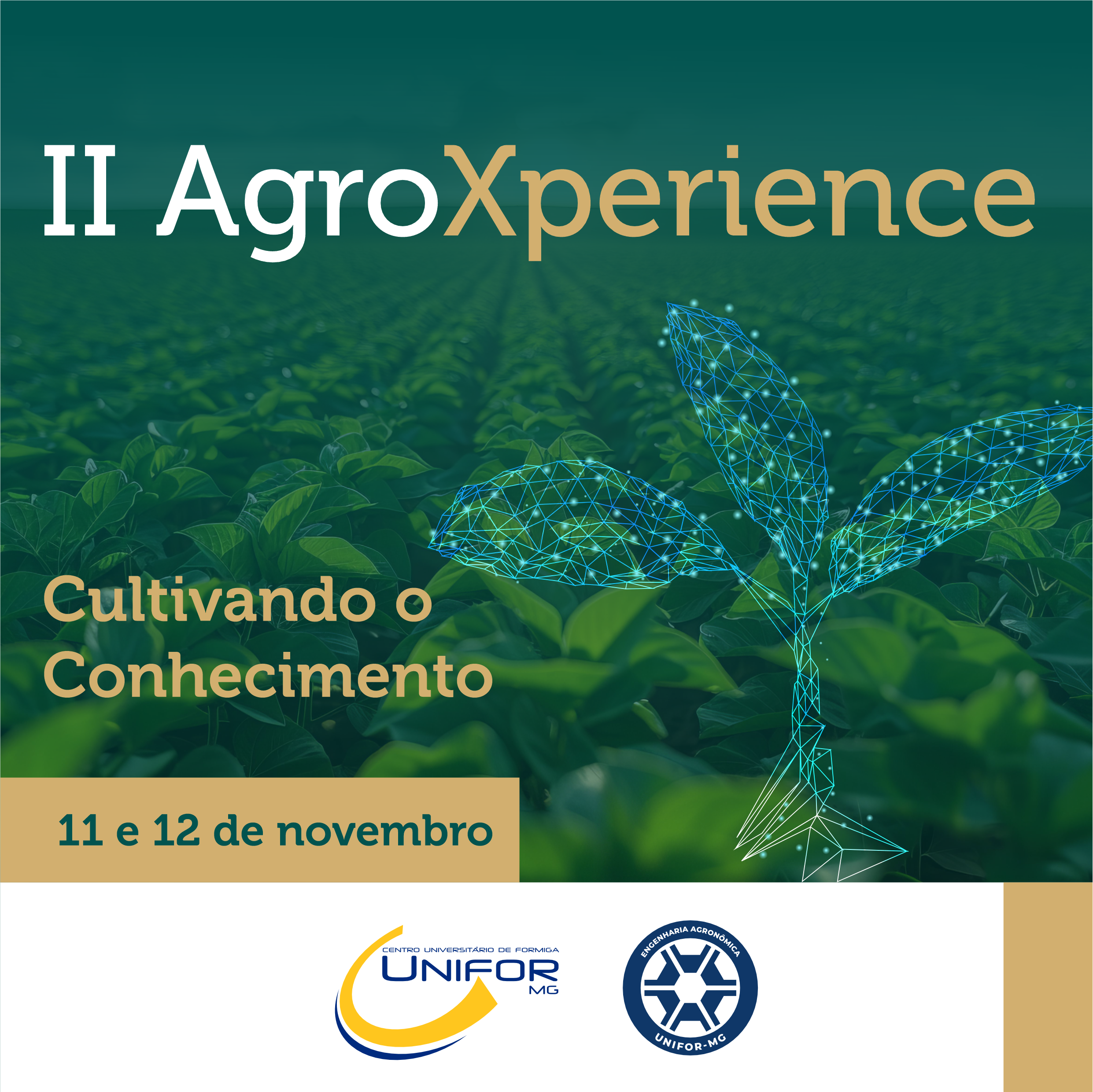 II AGROXPERIENCE RECEBERÁ ALUNOS DE ENGENHARIA AGRONÔMICA