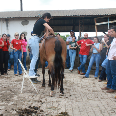 ALUNOS DO CURSO DE MEDICINA VETERINÁRIA PARTICIPAM DE CURSOS DE NIVELAMENTO