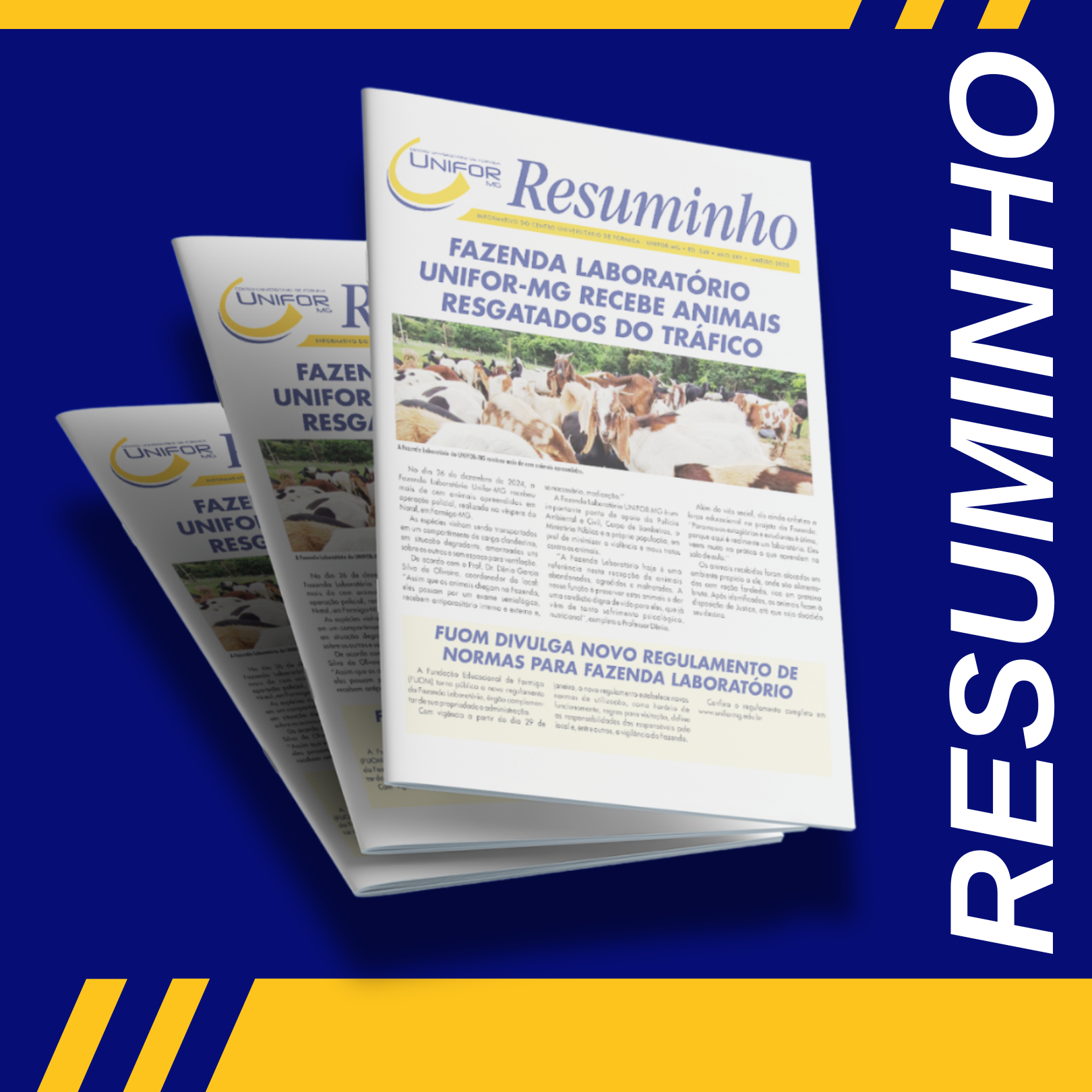 RESUMINHO 549