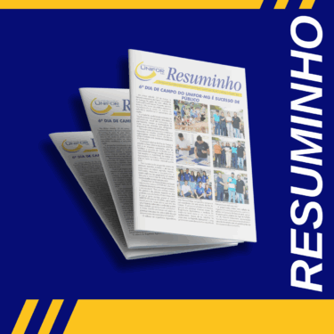 RESUMINHO 551
